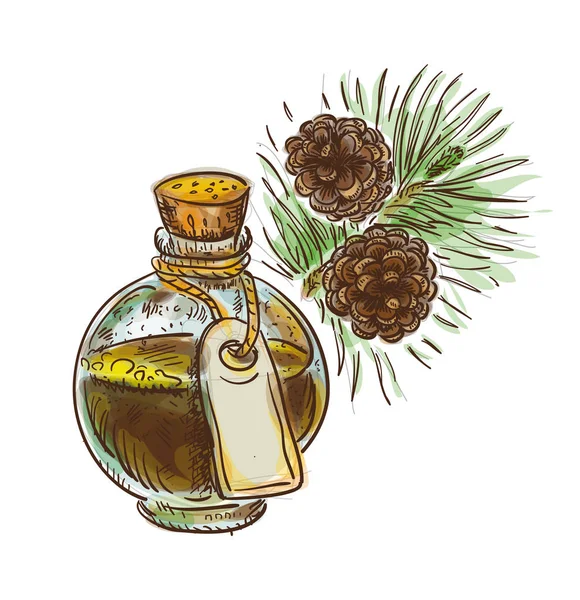 Pine tar v láhvi s větví. Akvarelu imitace s sket — Stockový vektor