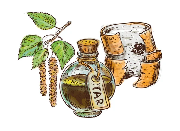 Birch Πίσσα άνθρακα σε μπουκάλι με birchbark και το κλαδί. — Διανυσματικό Αρχείο