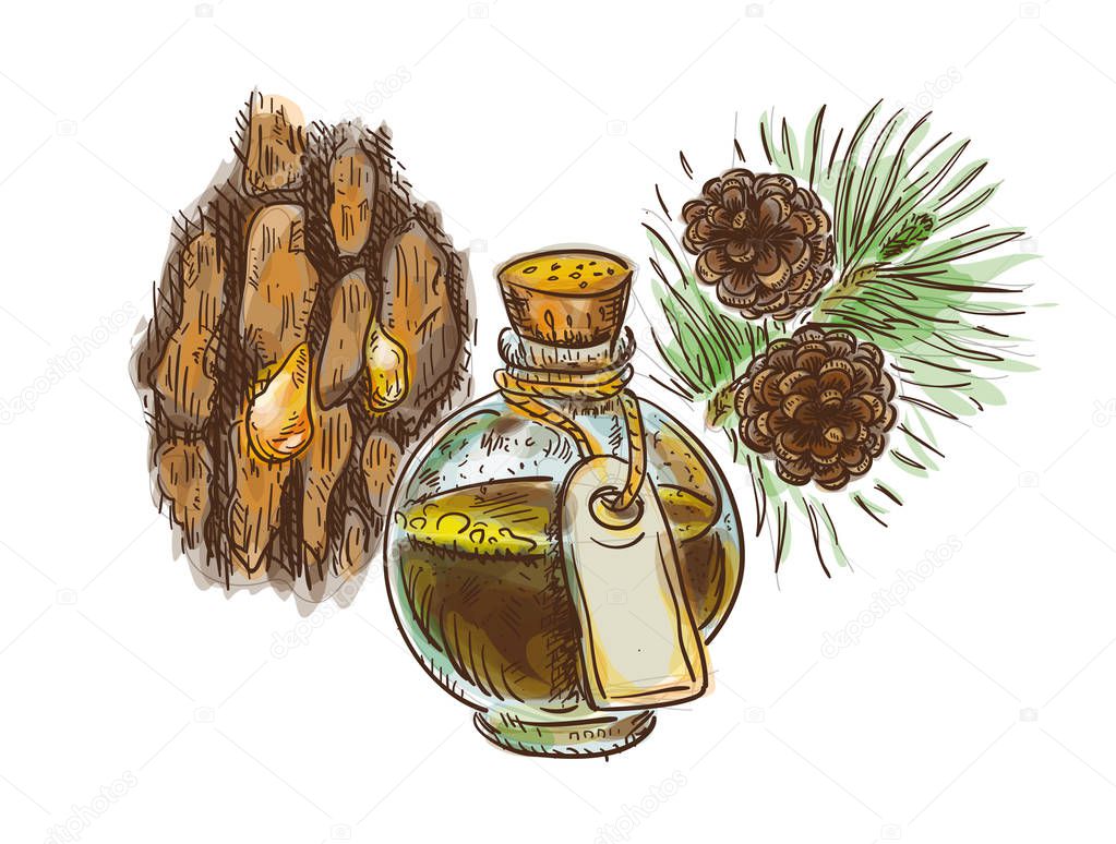 Pine tar in a bottle with branch and bark. Watercolor imitation 