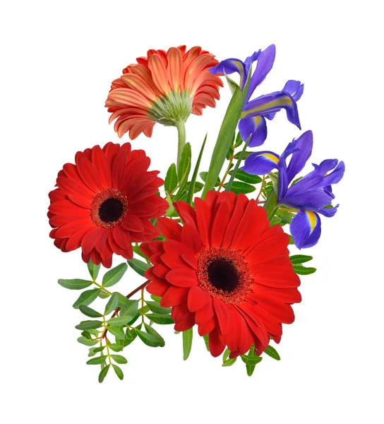 Komposition med röda gerbera och iris blommor. Isolerade. — Stockfoto