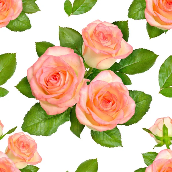 无缝背景与粉红色的玫瑰。隔离在白色 backgroun — 图库照片