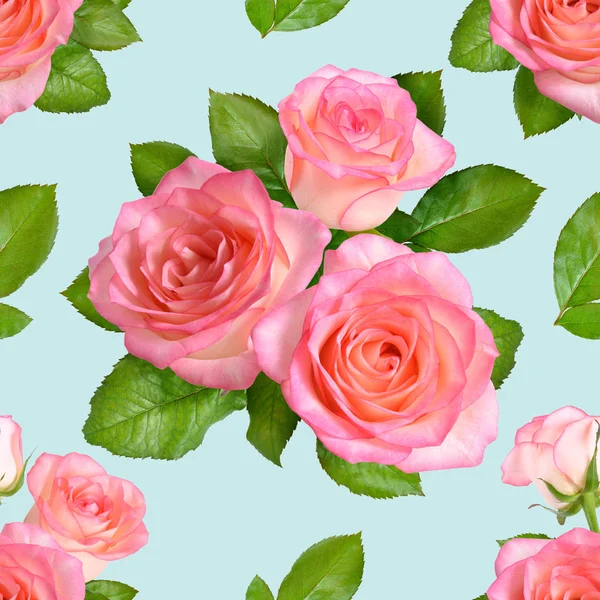 Bezszwowe róże Background.Pink na niebiesko — Zdjęcie stockowe
