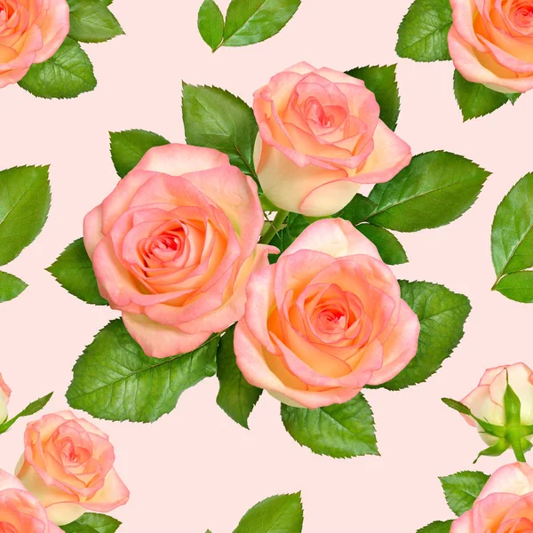 Безшовний фон з рожевими трояндами — стокове фото