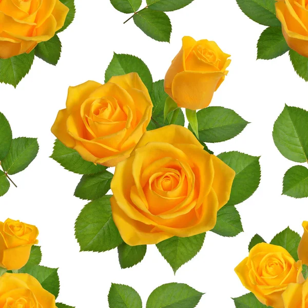 Bezešvé pozadí s yaellow růží. Izolované na bílém pozadí — Stock fotografie