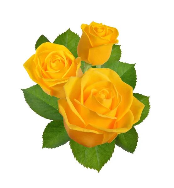 构成与黄色玫瑰。在白色背景上隔离 — 图库照片