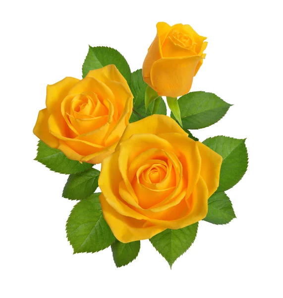 构成与黄色玫瑰。在白色背景上隔离 — 图库照片