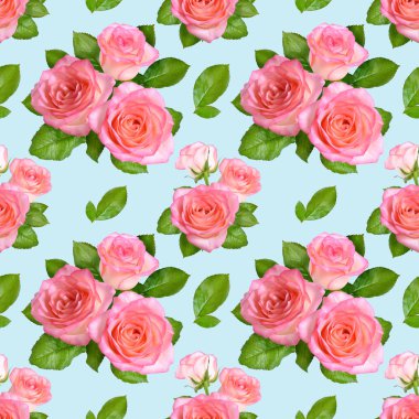 Mavi sorunsuz Background.Pink gül