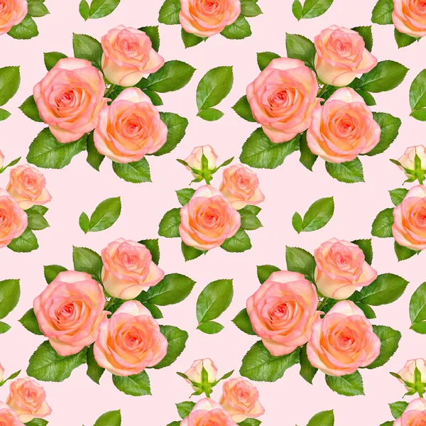 Fondo sin costuras con rosas rosadas —  Fotos de Stock