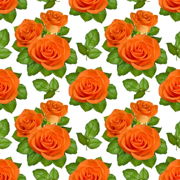 Nahtloser Hintergrund mit orangen Rosen auf weißem Hintergrund — Stockfoto