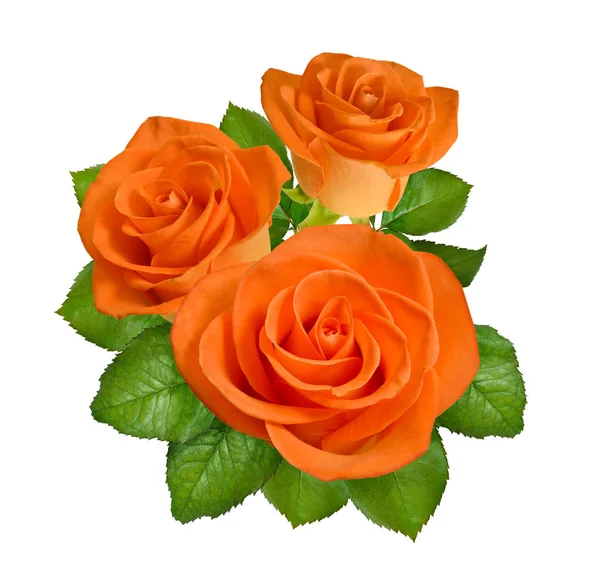 组成与橙玫瑰。在白色背景上被隔离 — 图库照片