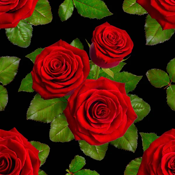 Fondo sin costuras con rosas rojas sobre fondo negro —  Fotos de Stock