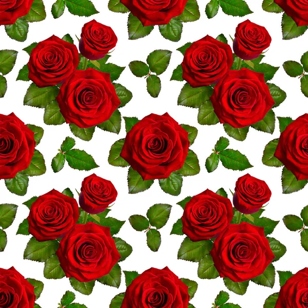 Fondo sin costuras con rosas rojas. Aislado sobre fondo blanco — Foto de Stock