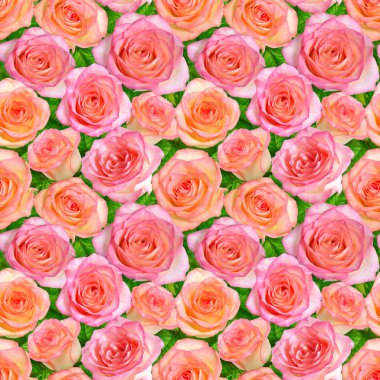 sorunsuz geçmiş ile pembe güller