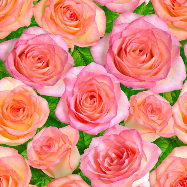 无缝背景与粉红玫瑰 — 图库照片