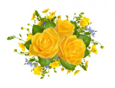 Pembe Gül çiçek bileşimi. Beyaz arka plan üzerinde izole