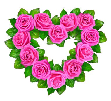 Pembe Gül kalbinde. Beyaz arka plan üzerinde izole