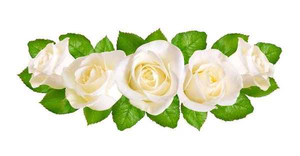 组成与白色玫瑰。在白色背景上被隔离 — 图库照片
