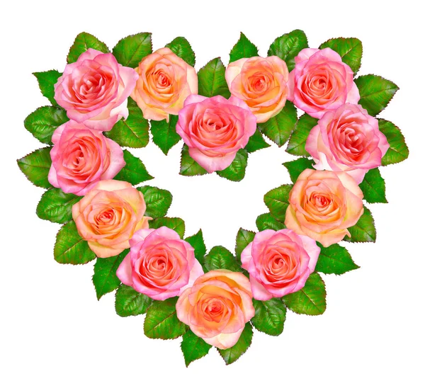 粉红色玫瑰的心脏。在白色背景上被隔离 — 图库照片