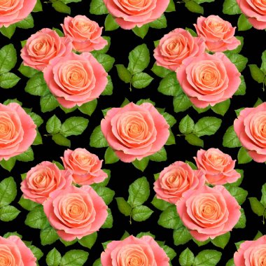 Pembe Gül ile sorunsuz arka plan. Siyah adam izole