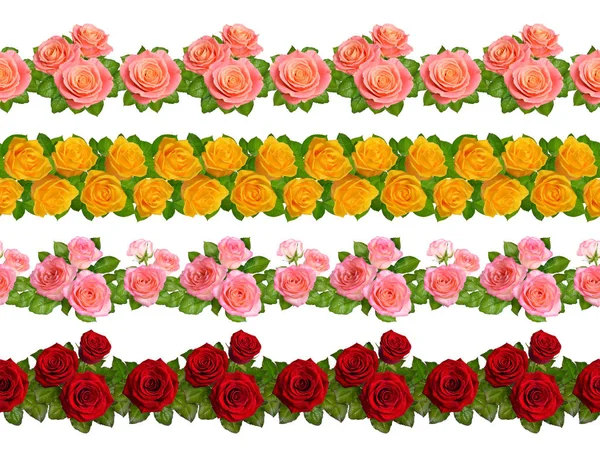 Set of Seamless borders with roses. Isolated on white background — Stock Photo, Image