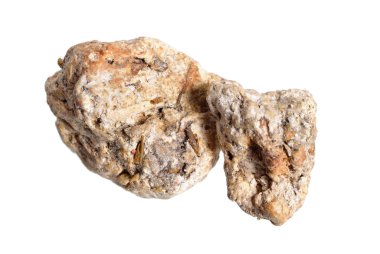 Kehribar, kehribar gris, kehribar yağı veya gri kehribar. Beyaz arkaplanda izole