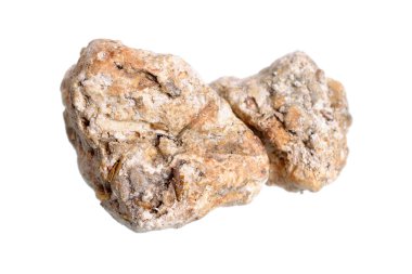 Kehribar, kehribar gris, kehribar yağı veya gri kehribar. Beyaz arkaplanda izole