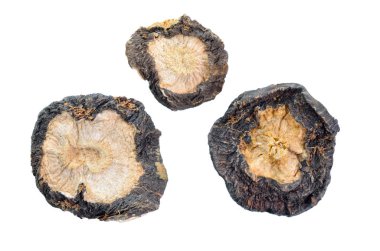 Dilimlenmiş Lepidium meyenii, maca ya da Peru ginsengi olarak bilinir. Beyaz arkaplanda izole