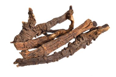 Ligusticum porteri, Osha olarak bilinir. Kurumuş kökler. Beyaz arkaplanda izole