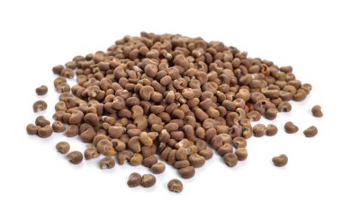 Abelmoschus mosçatus tohumu. Abelmosk, ambrette yıllık ambrette Bamia Moschata Galu Gasturi muskdana
