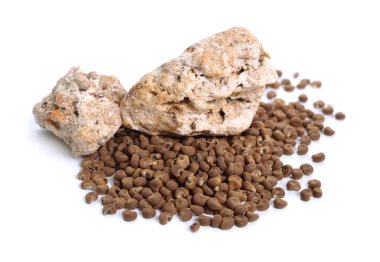 Abelmoschus moschatus ya da Ambrette Tohumu ve doğal Ambergris. Beyaz arkaplanda izole.