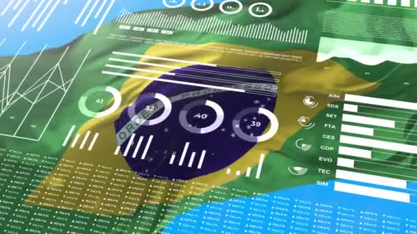 巴西的信息分析报告和财务数据 信息图表展示了带有标志 列号和饼图的动画 科学和医学专题 — 图库视频影像