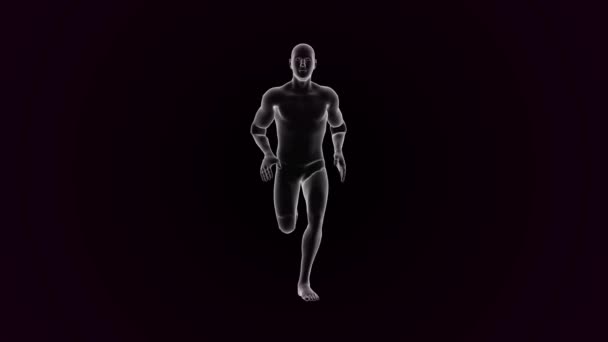 心臓は人の活動を動かす フィットネス運動中の人間の男性の図3D — ストック動画