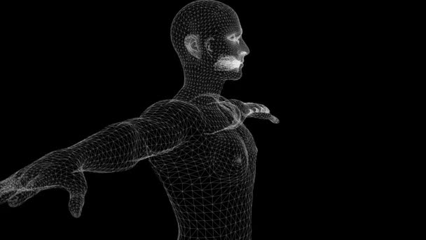 Сканирование Человеческого Тела Медицинский Осмотр Сканирование Анимация — стоковое видео