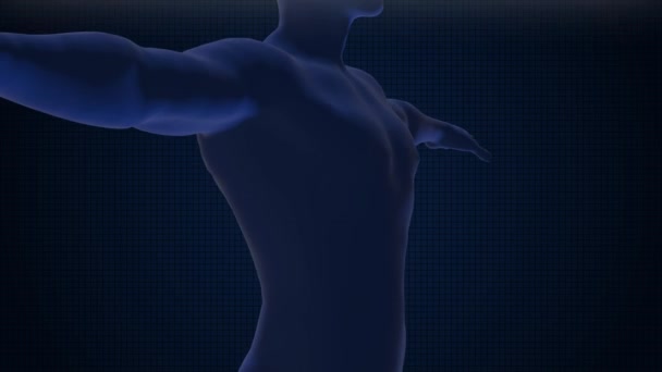 Concetto Scansione Del Corpo Umano Animazione — Video Stock