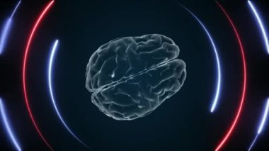 3D beyin animasyonu ve neon efektler, yaratıcı animasyon 4K. Sonsuz döngü.