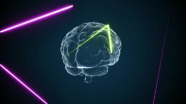 3D beyin animasyonu ve neon efektler, yaratıcı animasyon 4K. Sonsuz döngü.