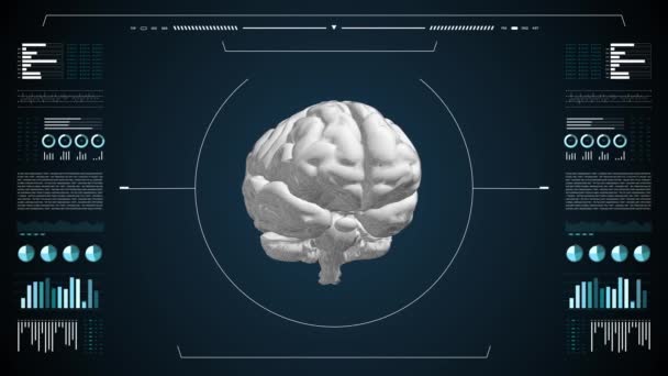 의학적 Uhd 애니메이션 실험실 인터페이스 진단용 컴퓨터 디스플레이에 인간의 브리언 — 비디오