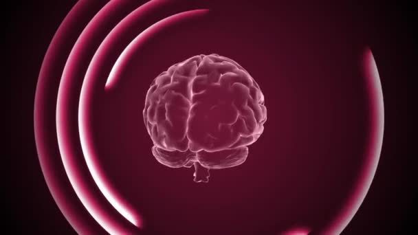 Animacja Mózgu Efekty Neonowe Kreatywna Animacja Nieskończona Pętla — Wideo stockowe