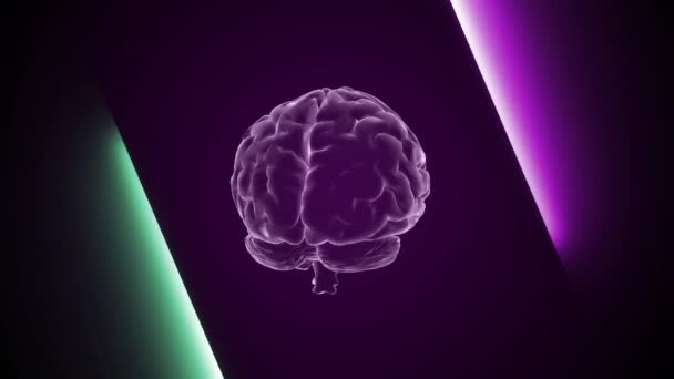 Hjärnanimation Och Neoneffekter Kreativ Animation Oändlig Loopable — Stockvideo
