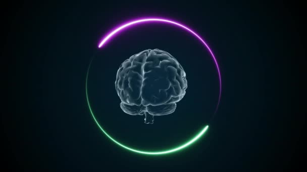 Animación Cerebral Efectos Neón Animación Creativa Infinito Loopable — Vídeo de stock