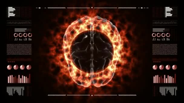 燃える3D脳を調べるデジタルHudディスプレイ 4Kアニメーション — ストック動画