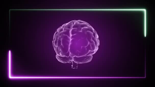 Анимация Мозга Неоновые Эффекты Творческая Анимация Бесконечный Цикл — стоковое видео