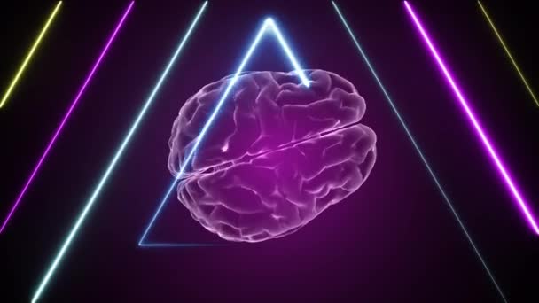 3D脳アニメーションとネオン効果 創造的なアニメーション4K 無限ループ可能 — ストック動画