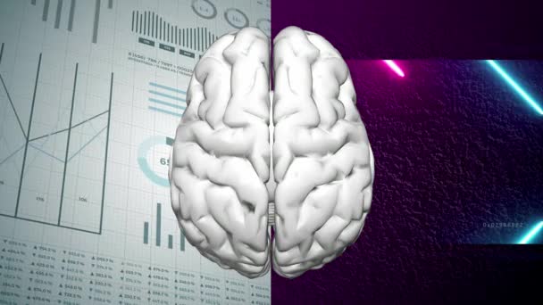 Concepto Partición Cerebral Izquierda Derecha Hemisferio Lógico Hemisferio Creativo — Vídeos de Stock