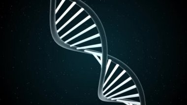 DNA yapısı - Deoksiribonükleik asit. Tıbbi bilimsel RNA araştırması ve biyoloji genetik moleküler laboratuvar çalışması için üç boyutlu animasyon. 4K.