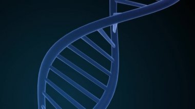 DNA yapısı - Deoksiribonükleik asit. Tıbbi bilimsel RNA araştırması ve biyoloji genetik moleküler laboratuvar çalışması için üç boyutlu animasyon. 4K.