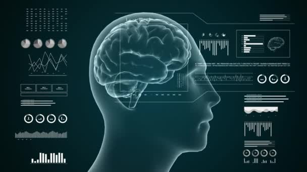 医学Uhd抽象动画 实验室仪表盘接口4K 以人类脑脊液为研究对象 计算机显示诊断研究 — 图库视频影像