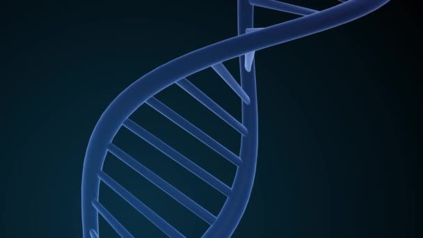 Dna Yapısı Deoksiribonükleik Asit Tıbbi Bilimsel Rna Araştırması Biyoloji Genetik — Stok video