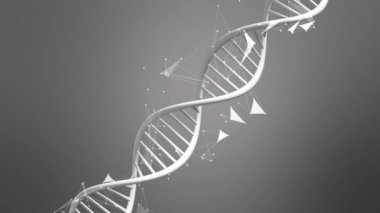 DNA yapısı - Deoksiribonükleik asit. Tıbbi bilimsel RNA araştırması ve biyoloji genetik moleküler laboratuvar çalışması için üç boyutlu animasyon. 4K.