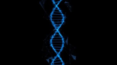 DNA yapısı - Deoksiribonükleik asit. Tıbbi bilimsel RNA araştırması ve biyoloji genetik moleküler laboratuvar çalışması için üç boyutlu animasyon. 4K.